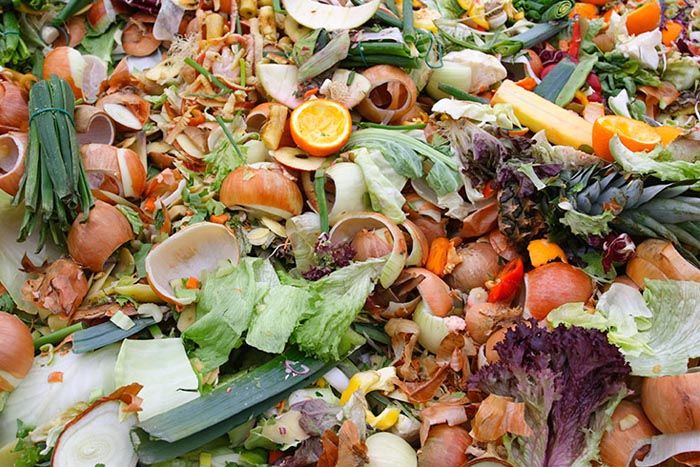 Food Waste Affects the Environment